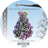 logo electron crystallography